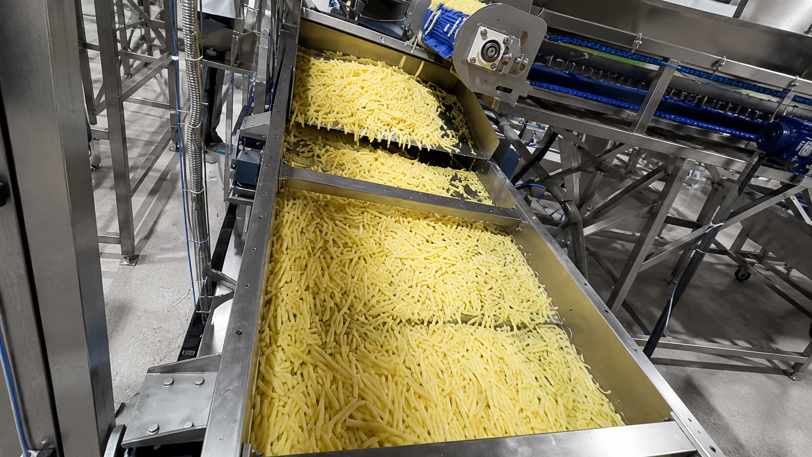 SANAM french fries production line