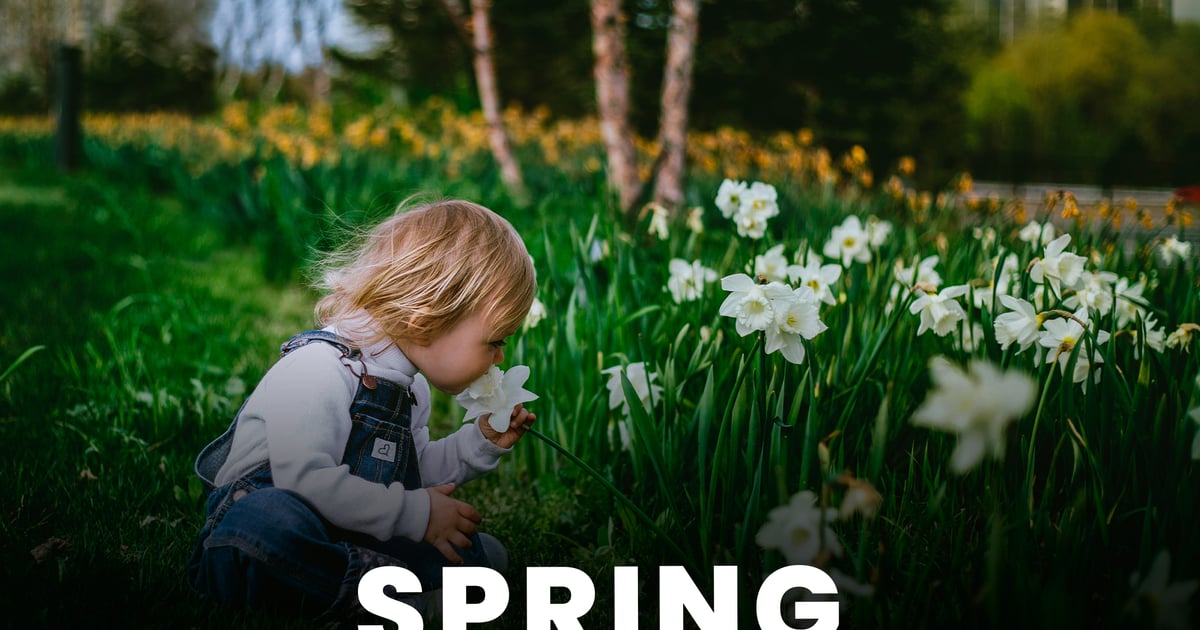 Spring – Presets and LUTs Free Download – Envato Elements