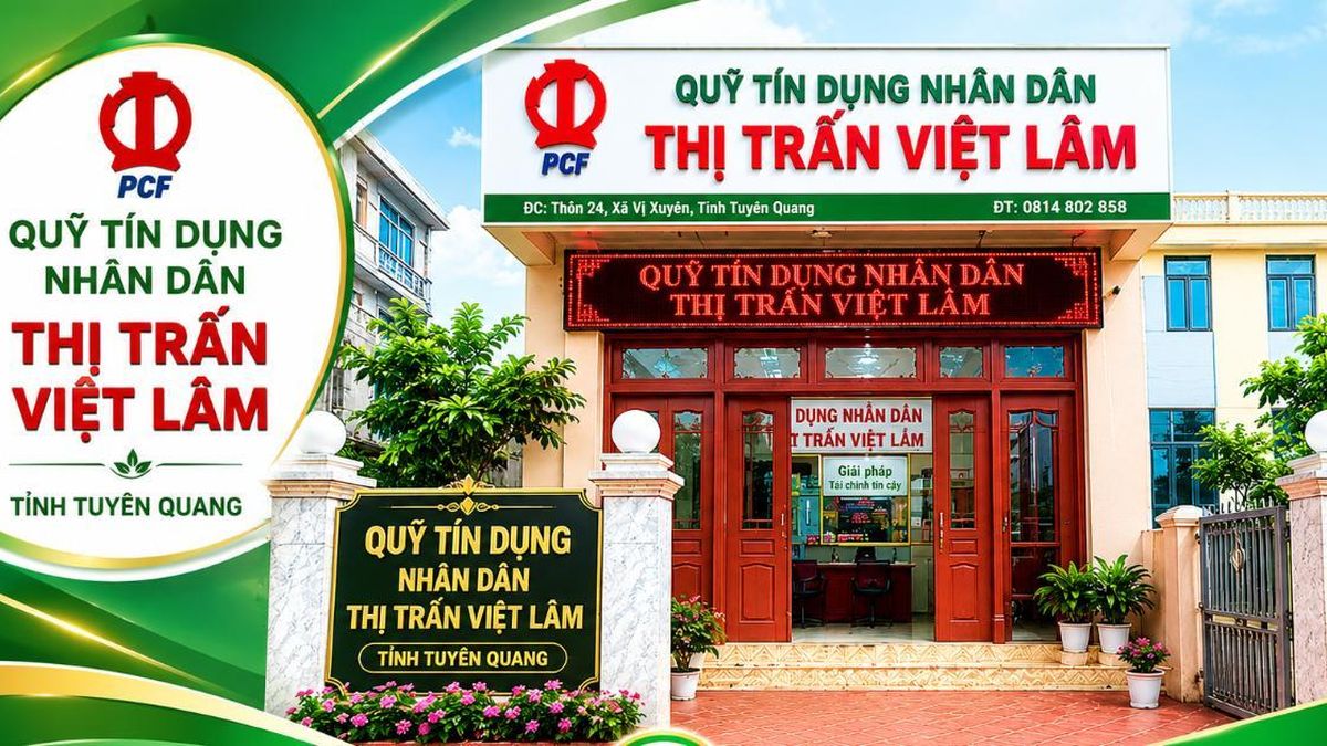 'Ngôi sao HTX' Việt Lâm thắp sáng khát vọng làm giàu từ nguồn vốn hợp tác - Tạp chí Vnbusiness