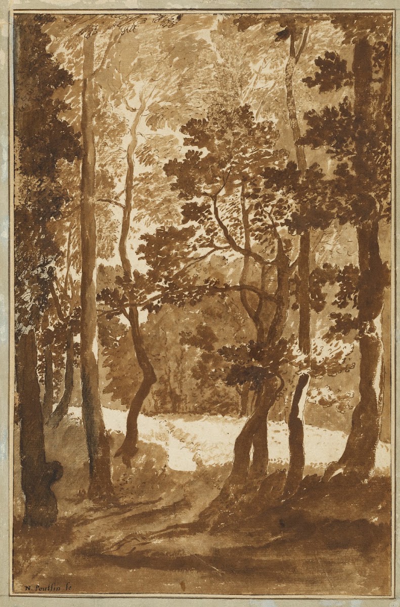 A Path Leading into a Forest Clearing 16351640