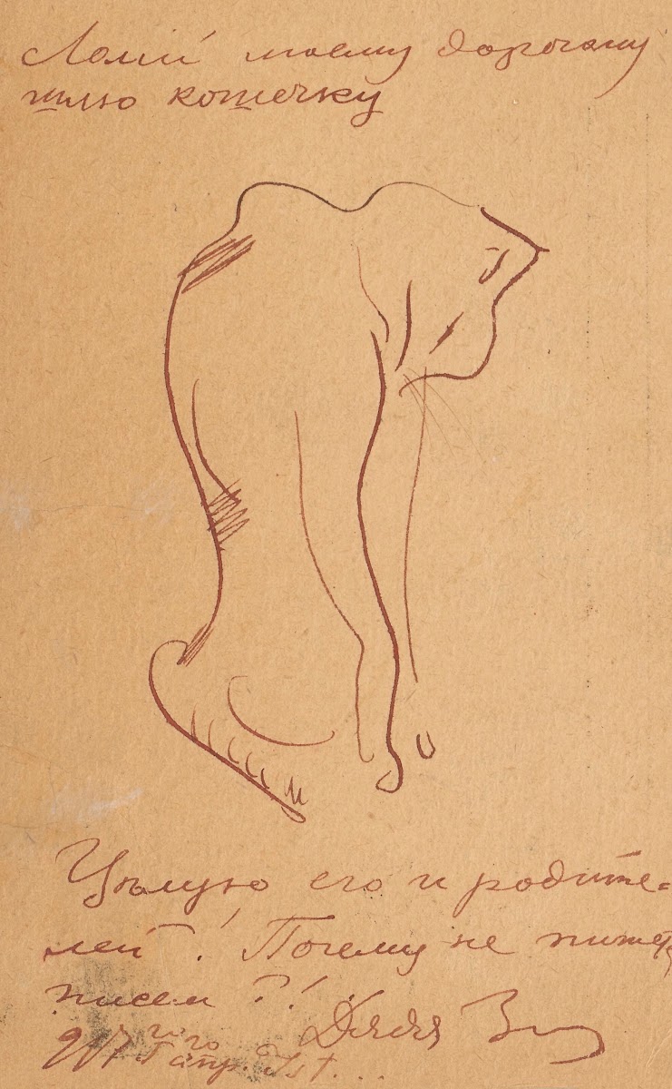 Kitten 1917