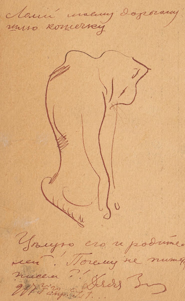 Kitten 1917
