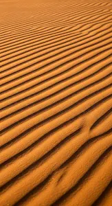 Macro Photography of Wavy Orange Sand Dune Textures