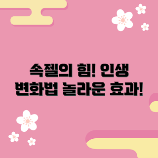 속젤 추천, 속젤 효과, 속젤 초보, 피부 관리, 인생 변화