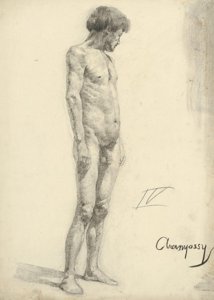 Štúdia aktu stojaceho muža 18881893