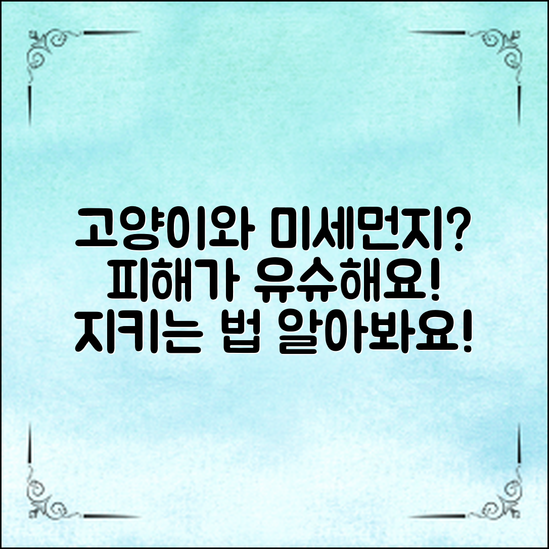고양이도 미세먼지 피해? 보호 방법 알아보기!