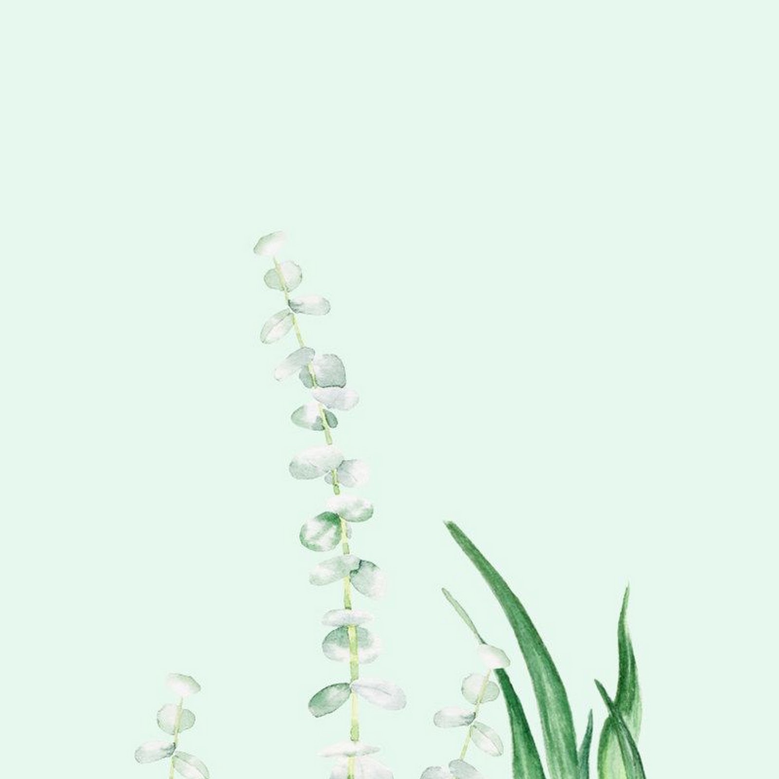 Download Watercolor Eucalyptus and Green Leaves iPhone