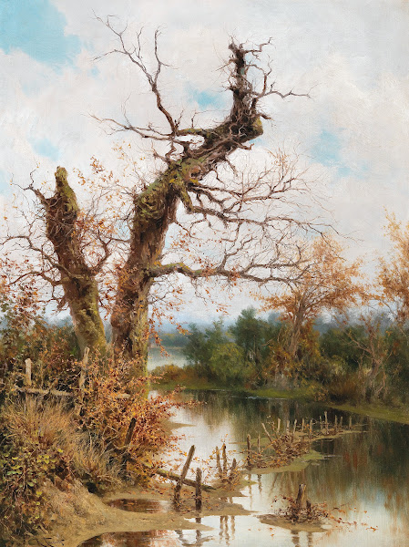 Old Tree by the Stream