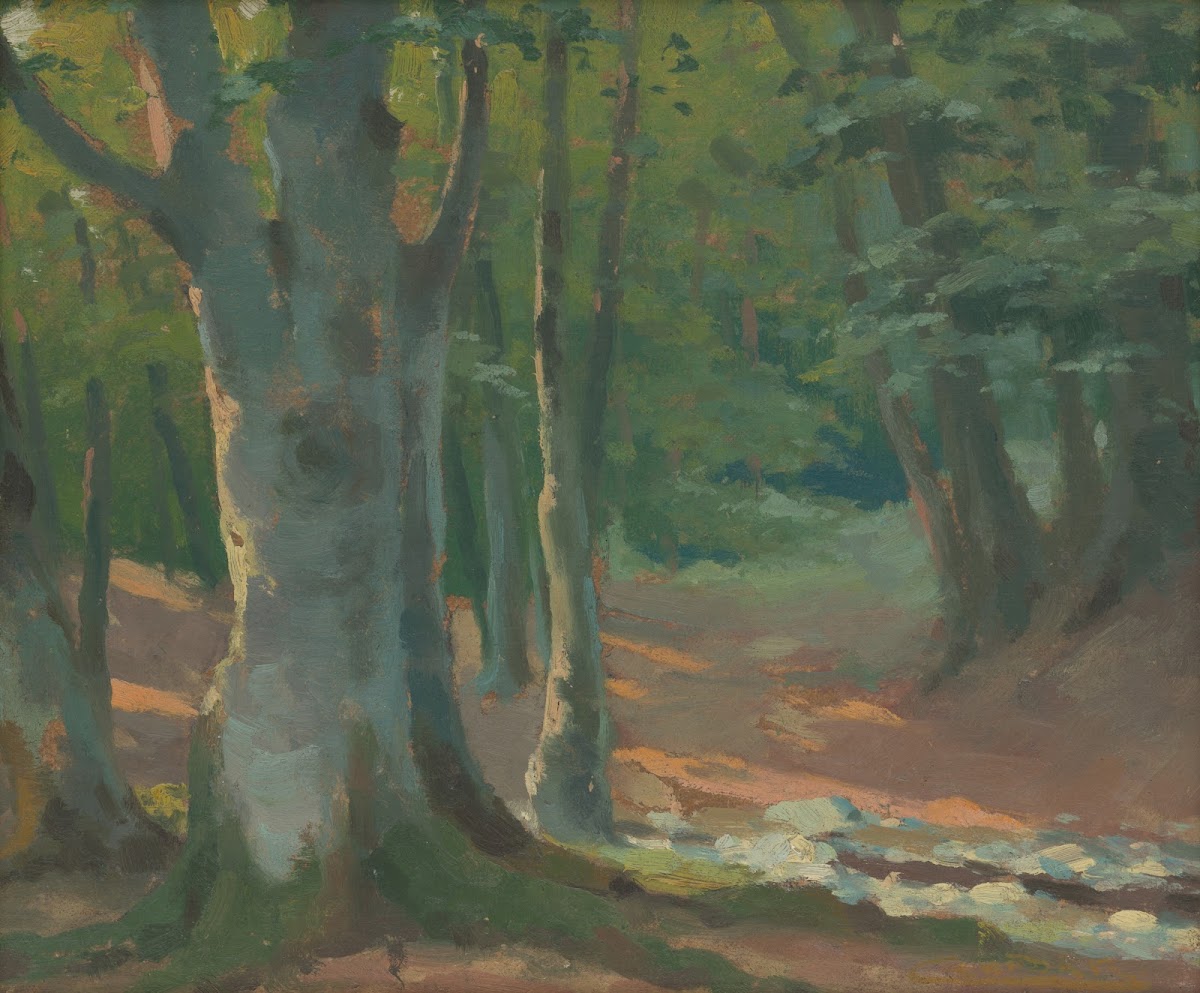 Forest 19071910