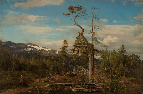 Øverst i Setesdal 1864