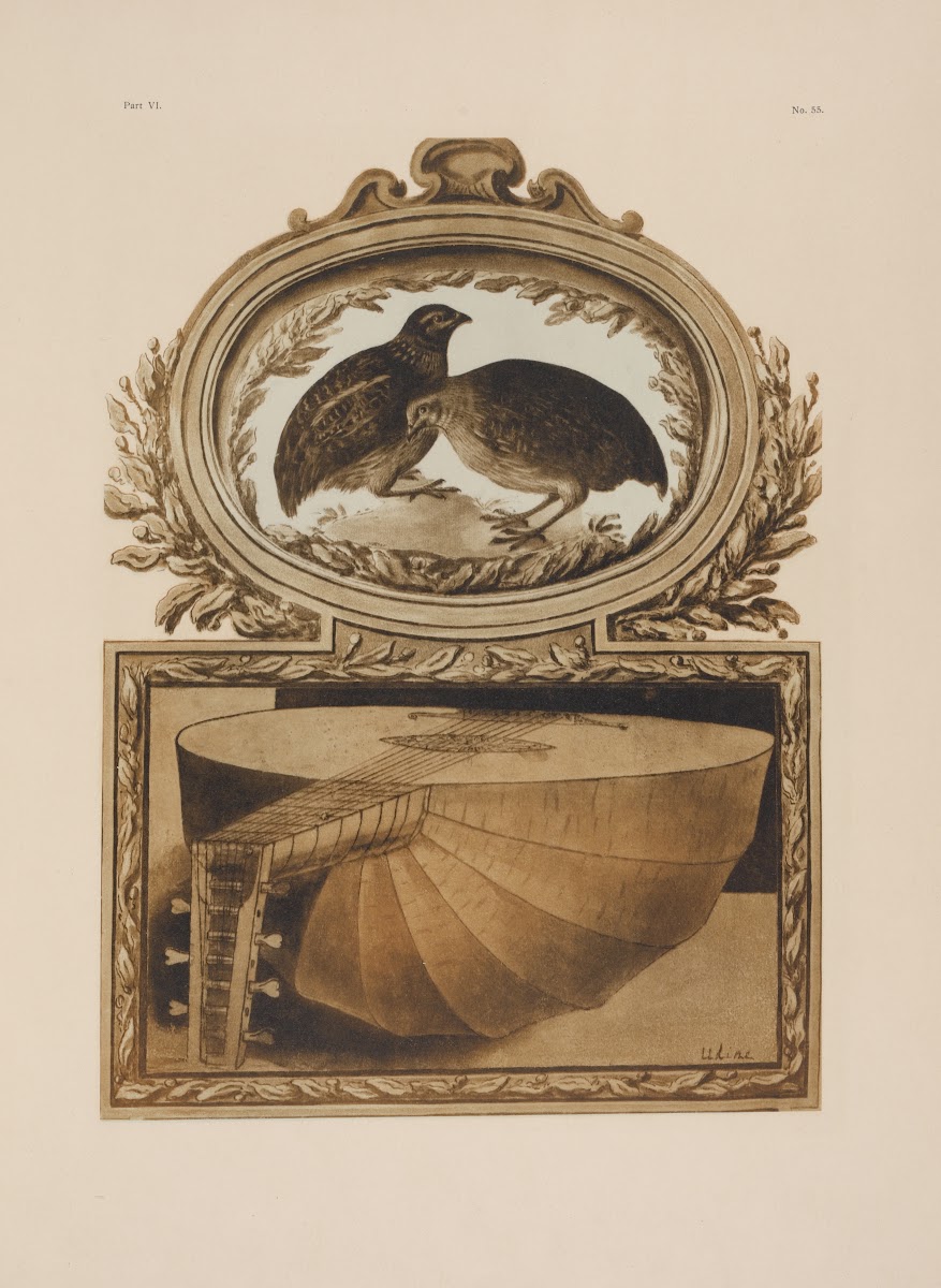 A pair of quails a lute 1900