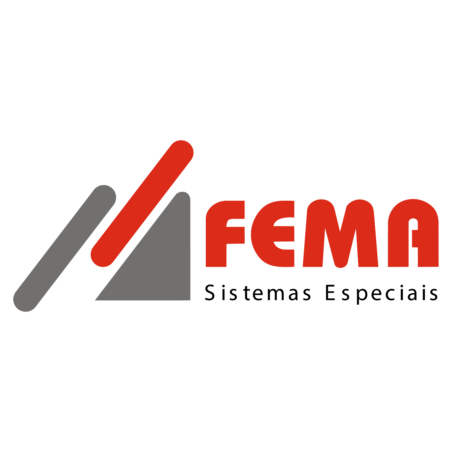 Fema Sistemas Especiais