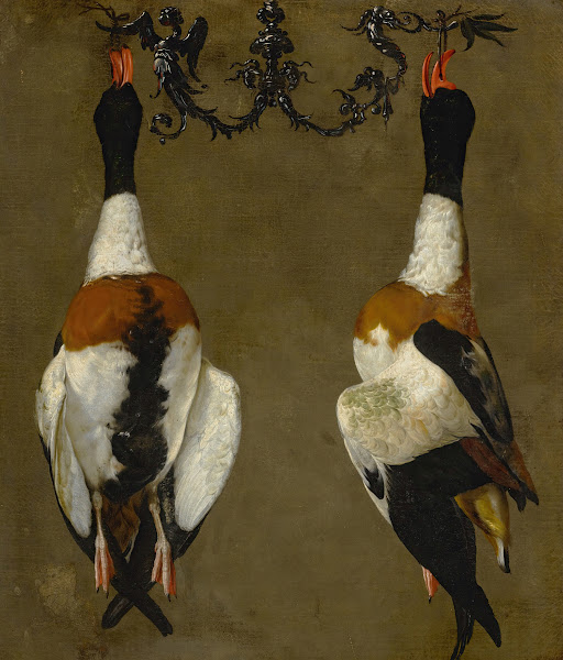 Still life of two shelducks hanging from their bills