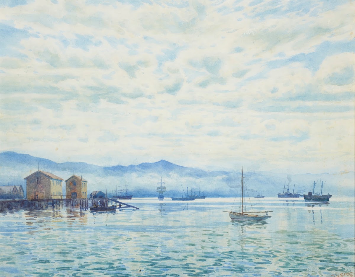 Wellington Harbour 1902