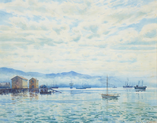 Wellington Harbour 1902