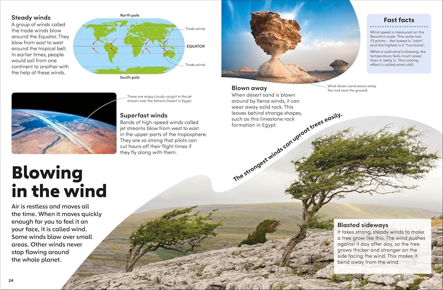 Eyewonder Weather - thumbnail 2