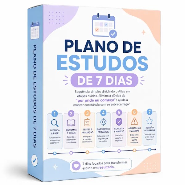 Bônus Plano de Estudos de 7 Dias