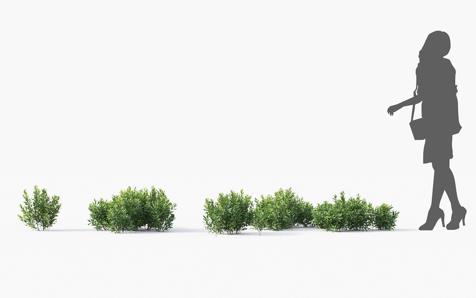 Maxtree - Plant Models Vol.28