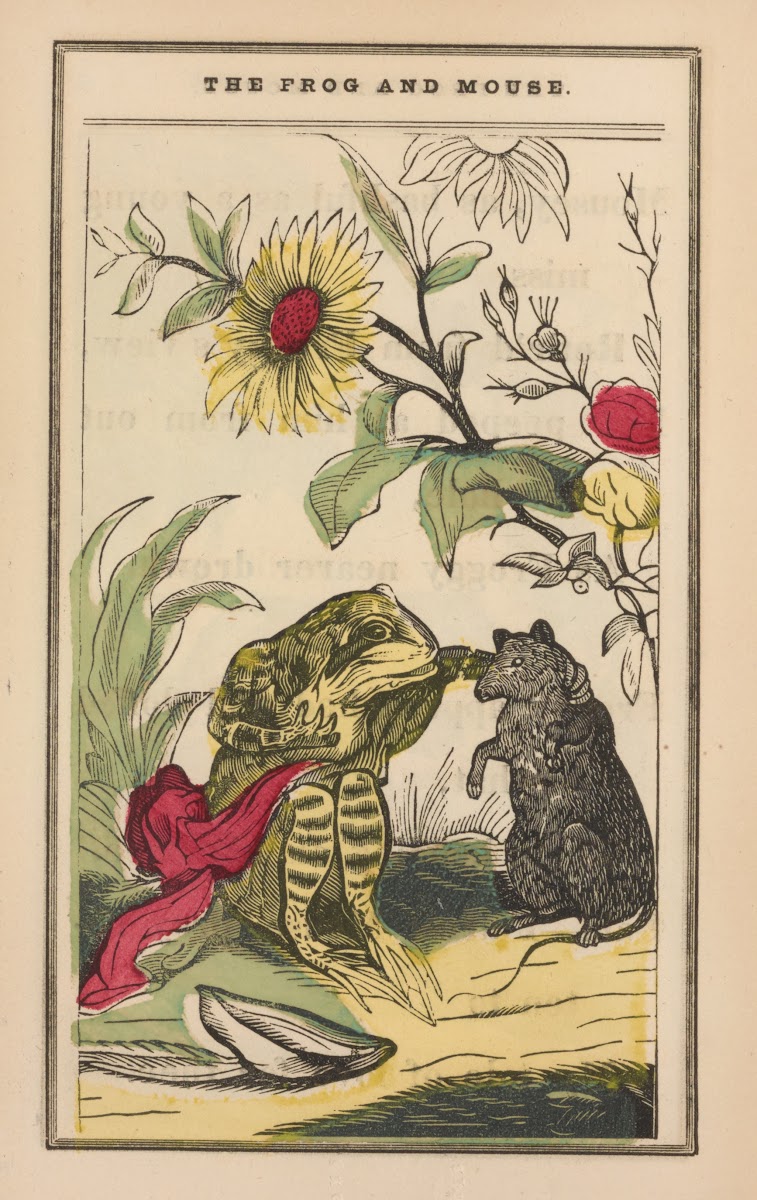 The little frog and pretty mouse Pl4 1852