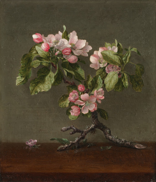 Apple Blossoms 1873