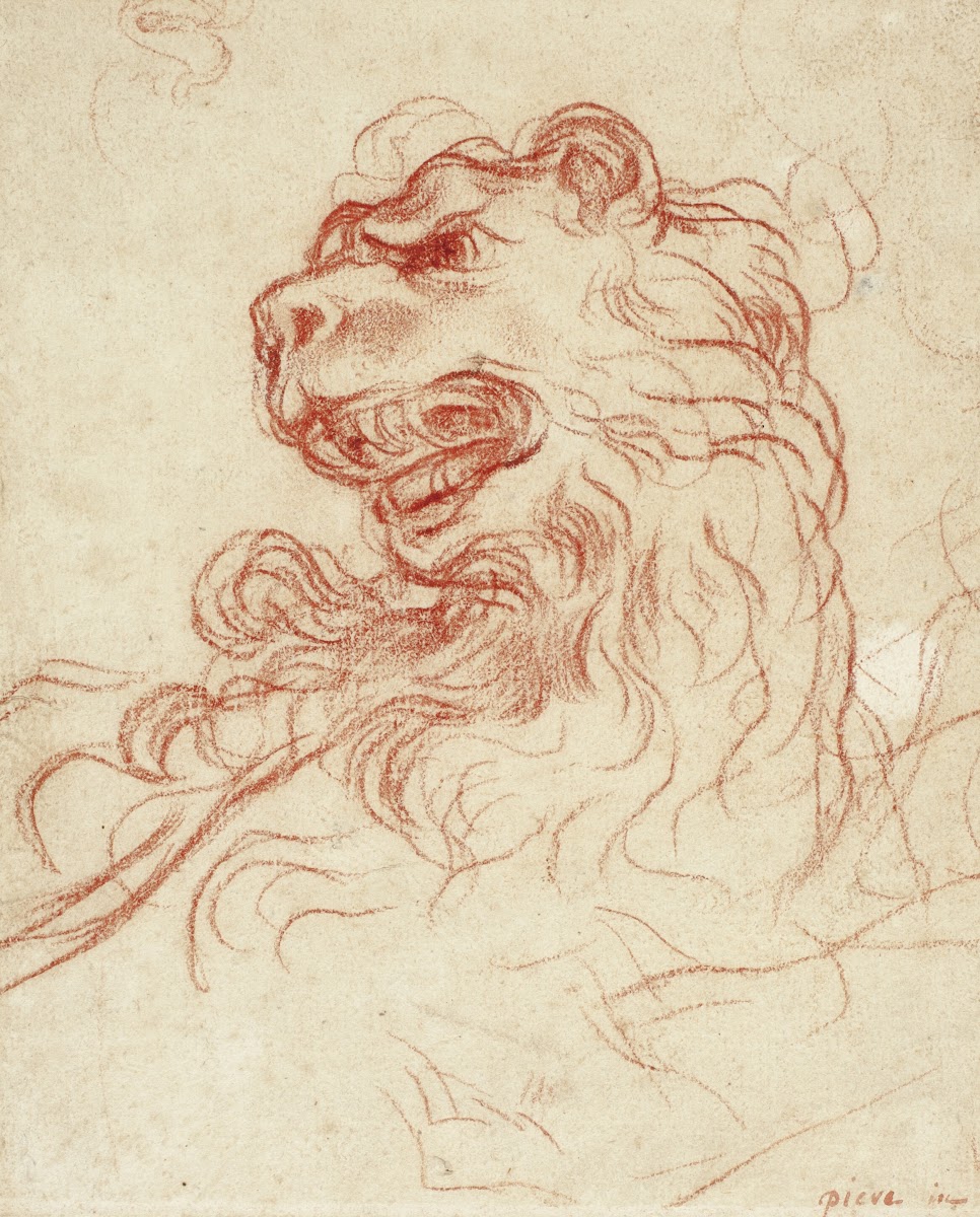 Study of the Head of a Lion