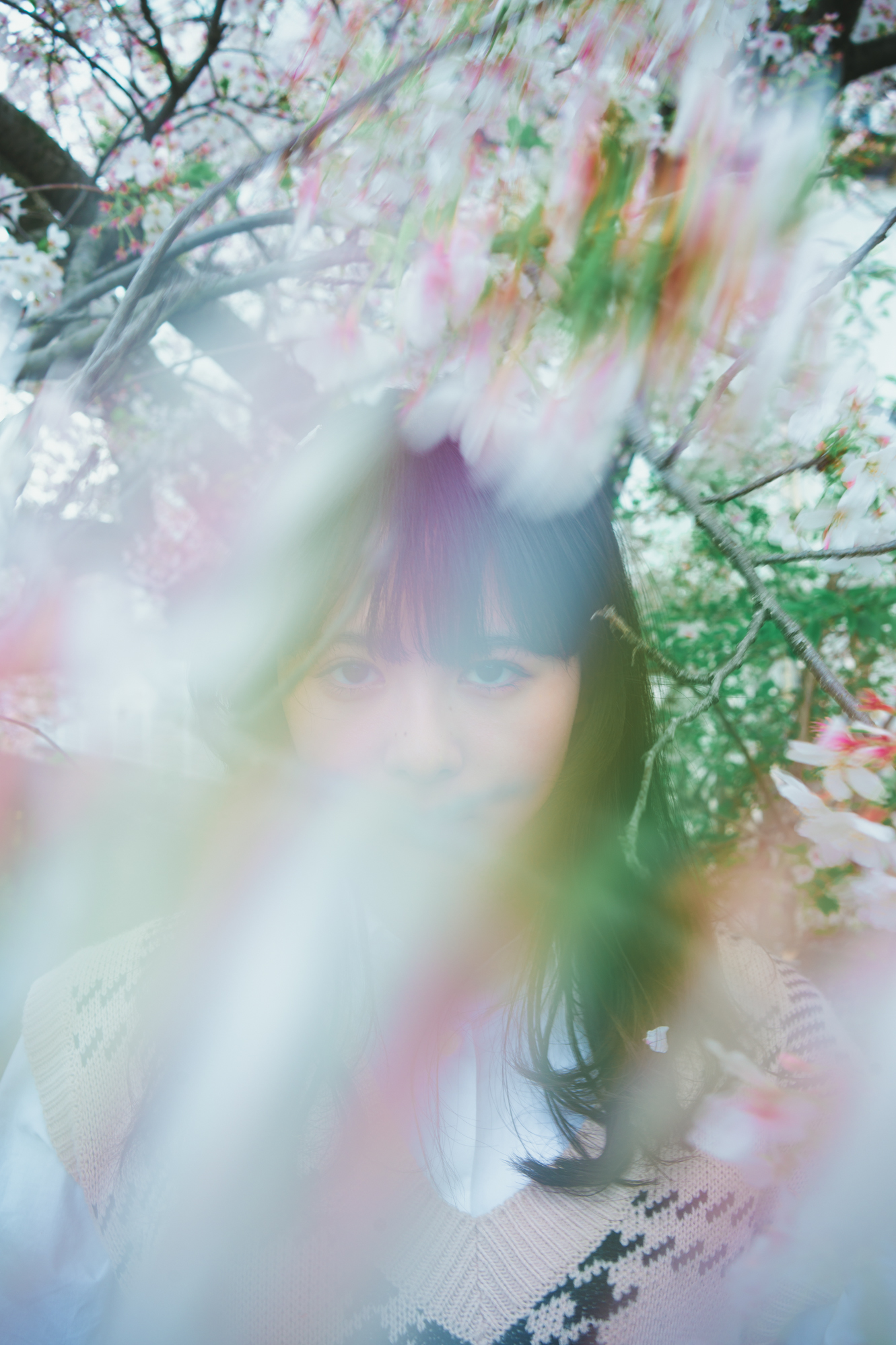 Portrait — Makino Shota