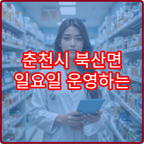 춘천시 북산면 일요일 운영하는 당번 약국 정보 확인