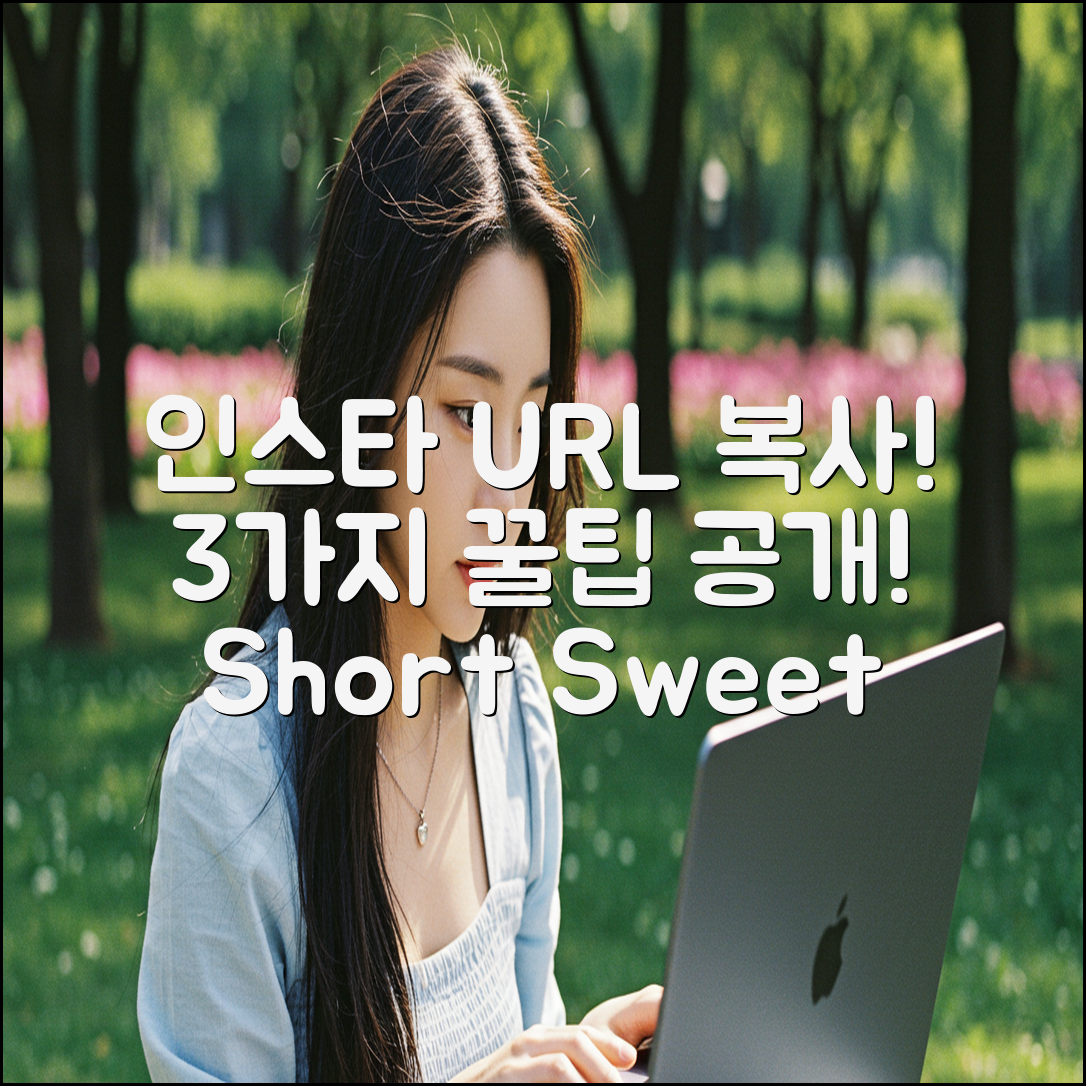 인스타그램 URL 복사, 3가지 꿀팁!