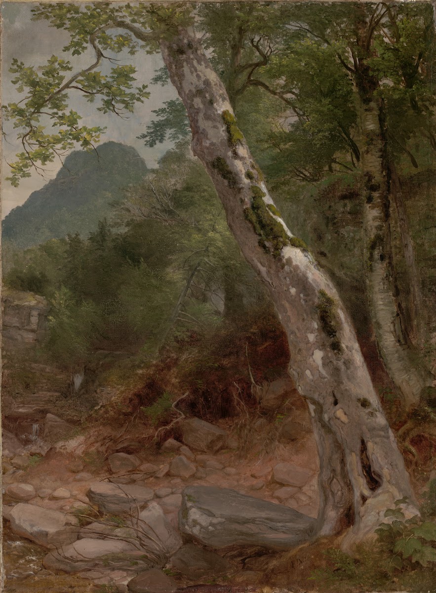A Sycamore Tree Plaaterkill Clove The Sycamore KaaterskillClove ca1858