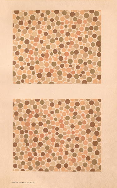 Stillings pseudo isochromatic plates for testing color perception Pl19 1929