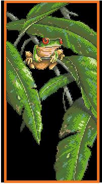 DIM35251 Tree Frog Among Leaves