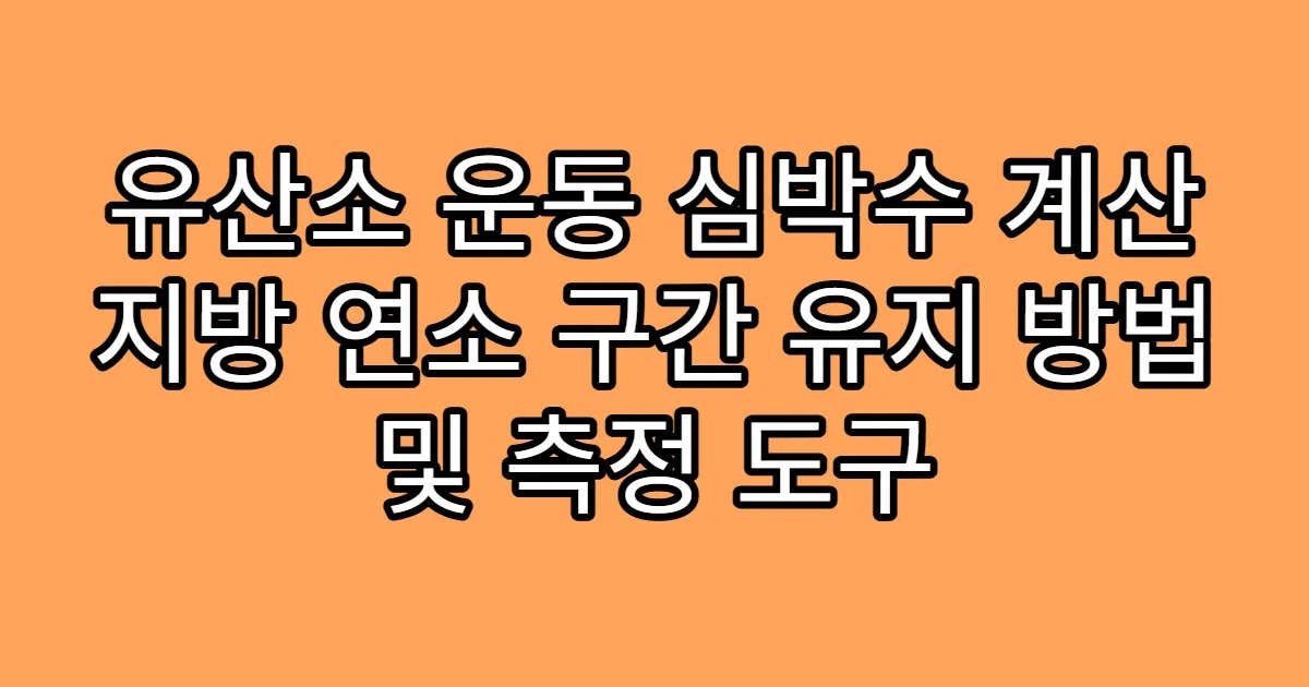 유산소 운동 심박수 계산 지방 연소 구간 유지 방법 및 측정 도구