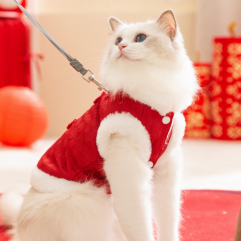Chinese Vest for Cats, Winter Style