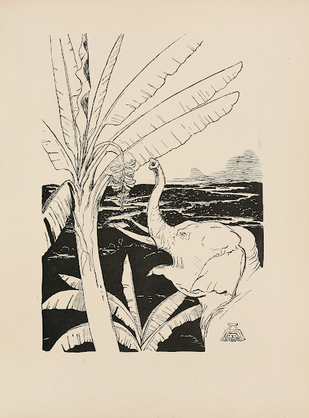 Elephants chiild going to pull bananas off the banana tree 1902