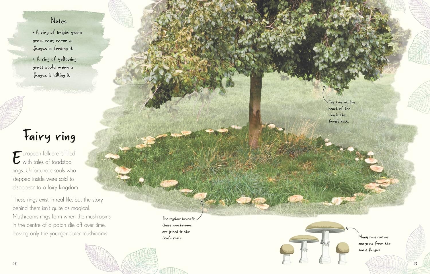 An Anthology of Fungi - thumbnail 3