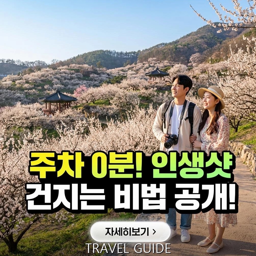 2026 광양 매화축제 완벽 가이드