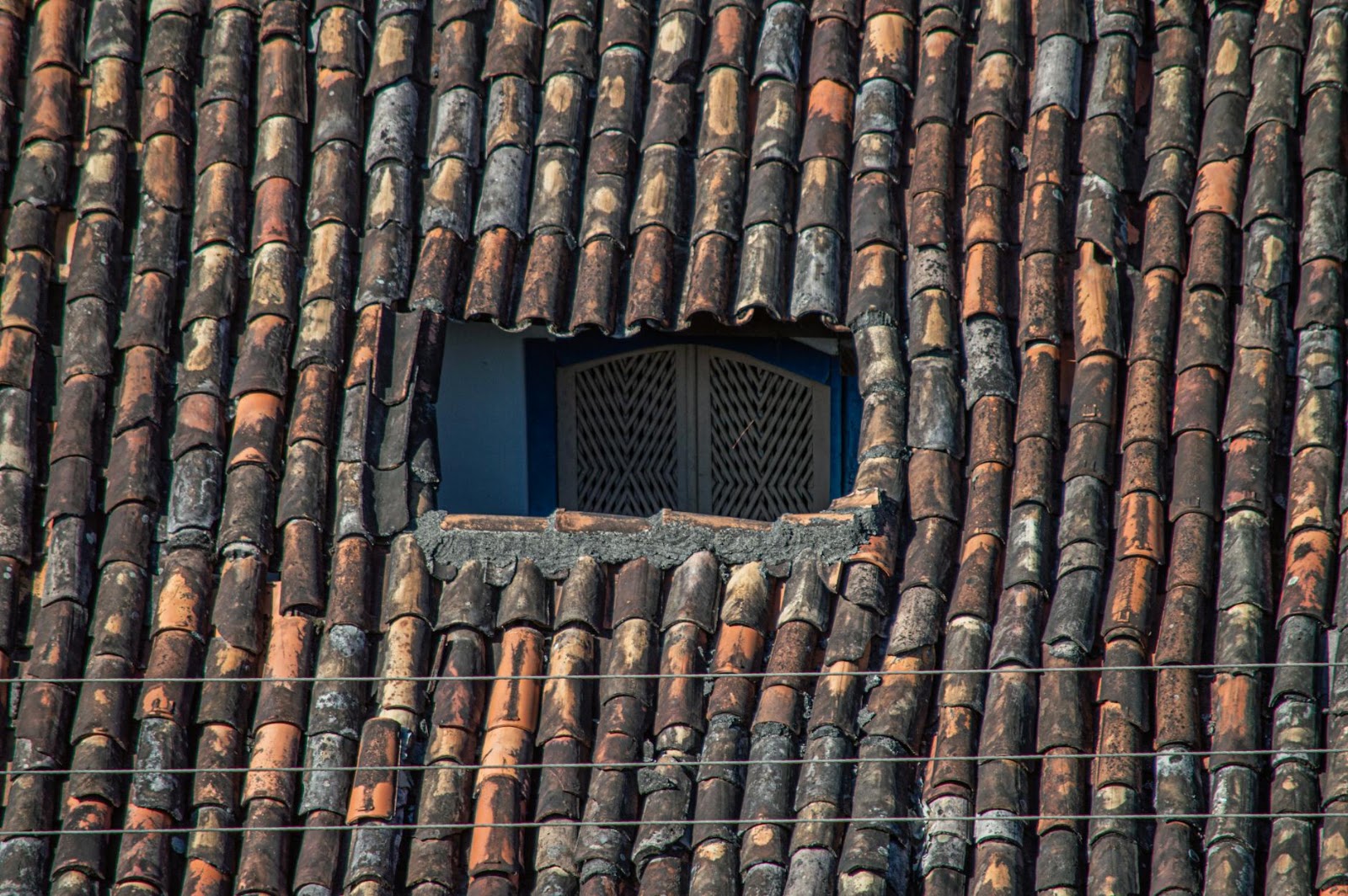 A smiling, sweaty person feeling a sense of achievement after completing their home workouts for beginners routine.