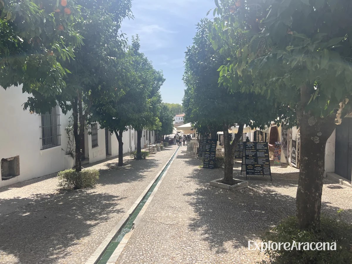 Tree-lined street leading towards the Gruta de las Maravillas, with a narrow stream of water down the path.