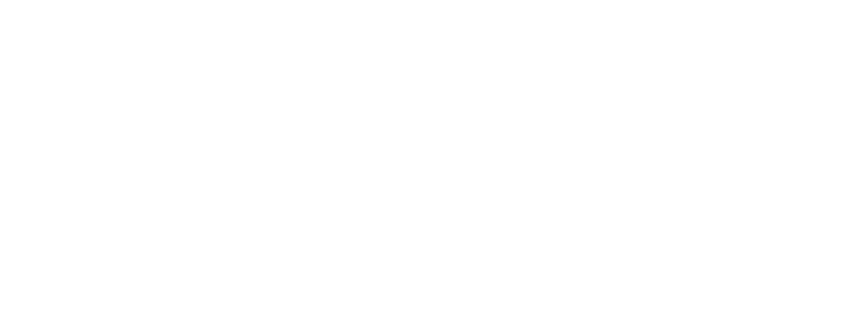 Serendipity Travel Experiences