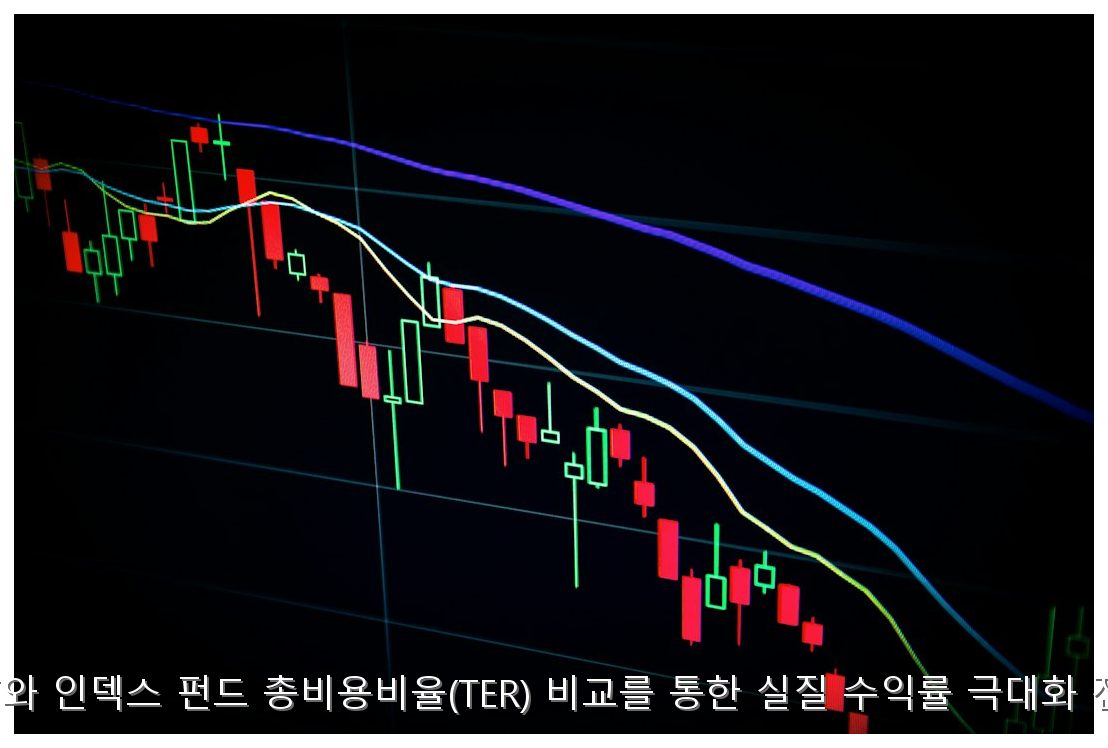 ETF vs 펀드 수수료 비교, 내 수익 지키는 실질 보수 확인법 핵심 안내 및 분석 인포그래픽 (3)
