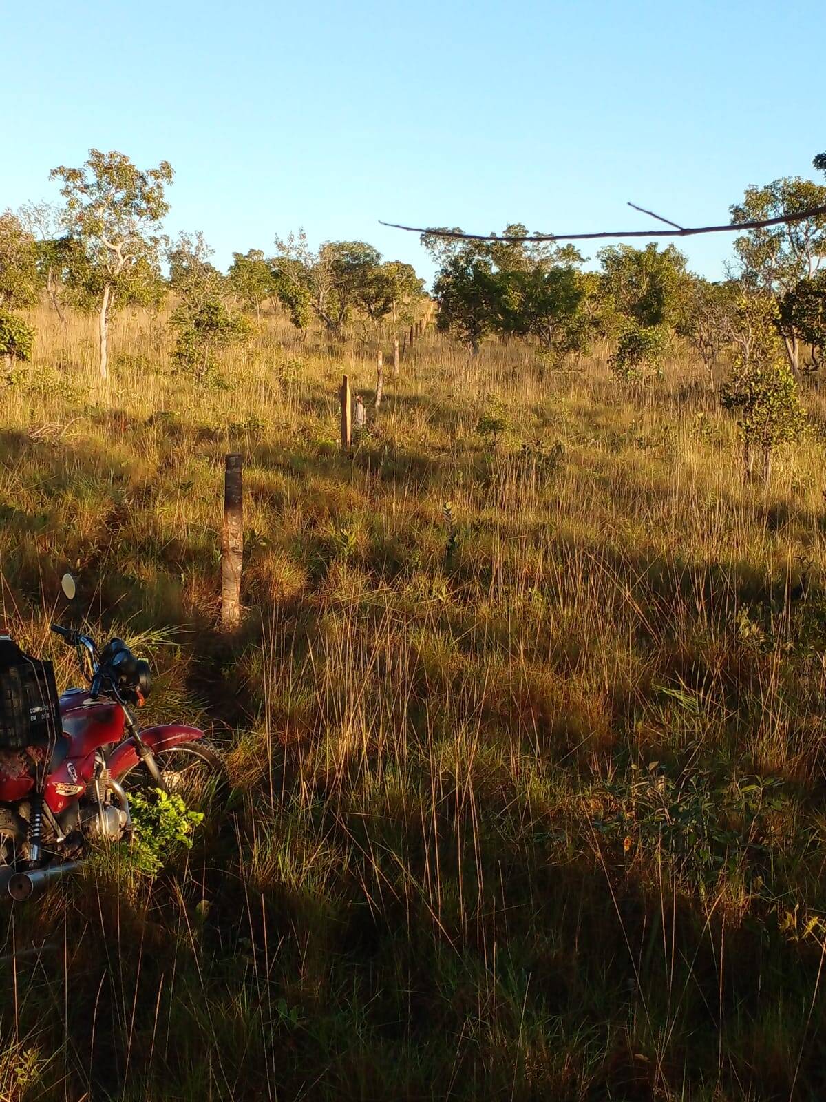 Fazenda em Rio Sono - TO 2