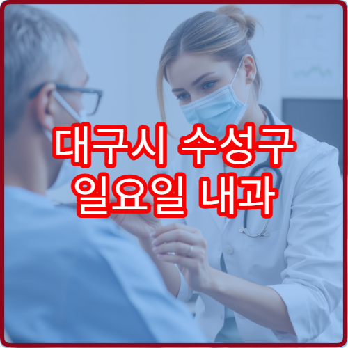 대구시 수성구 일요일 내과 진료 가능한 병원 정보를 정리한 안내