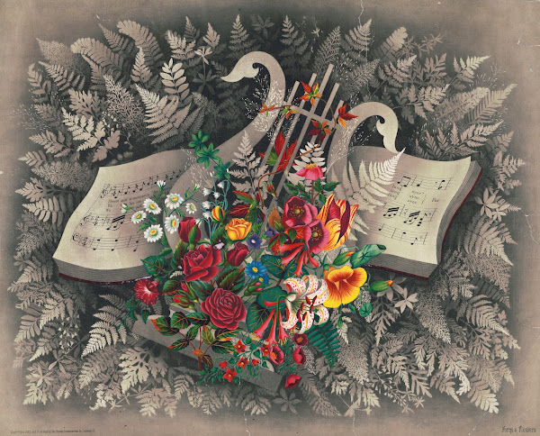 Ferns  flowers 1885