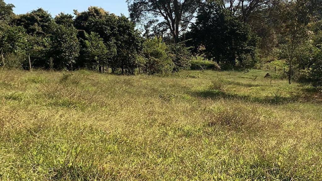 Chácara Petrolina de Goiás 3