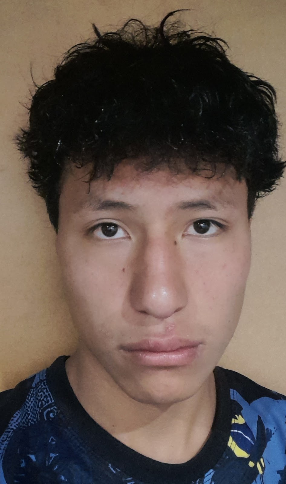 Daniel Alexander Gómez Yanangómez