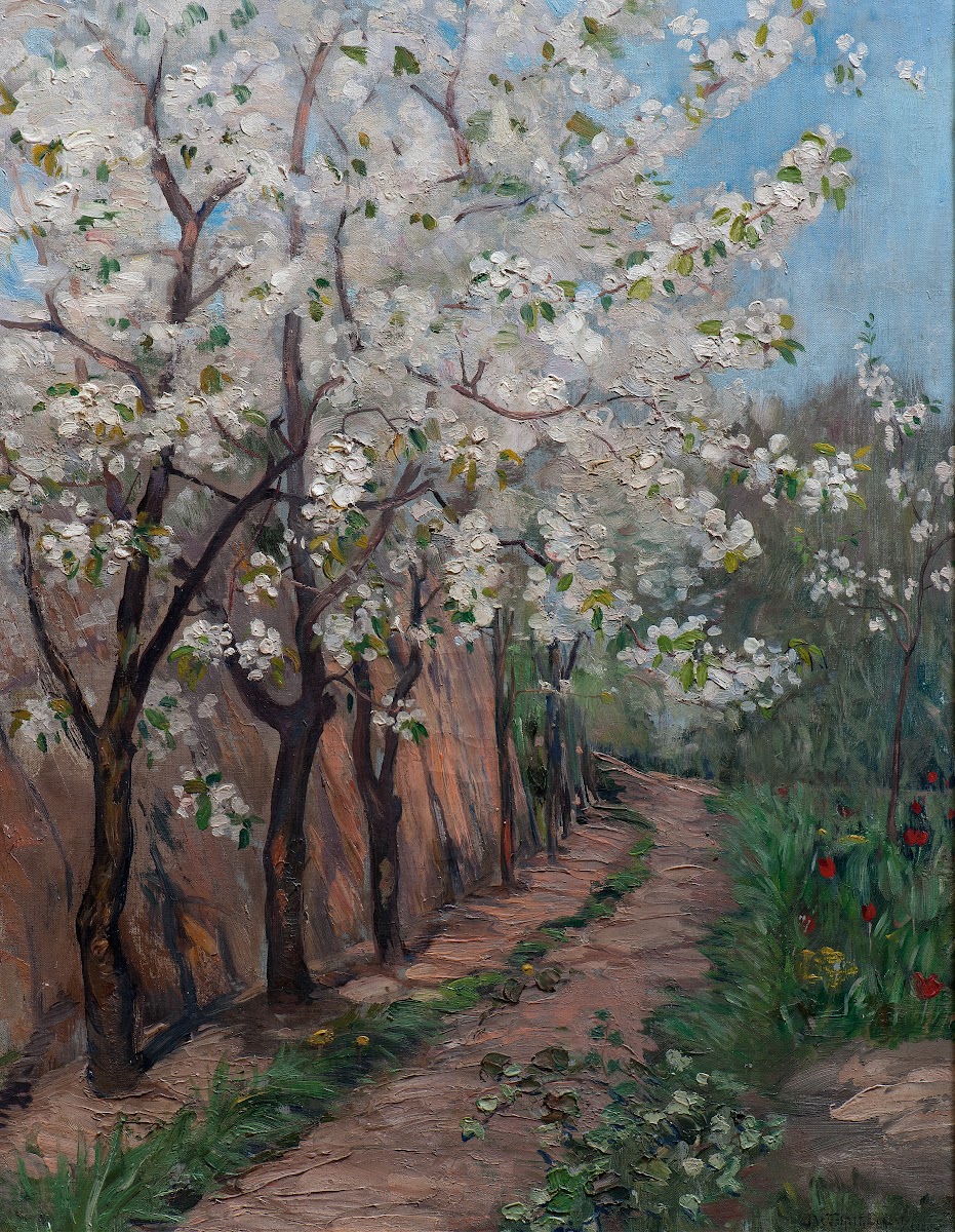 Cherry Blossom