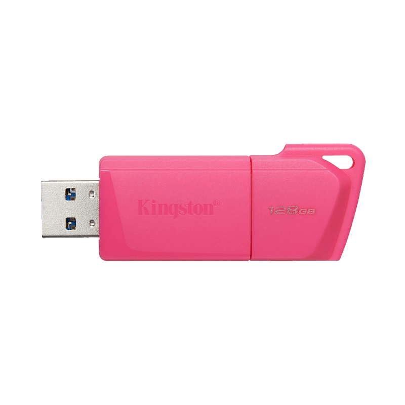 Kingston USB 3.2 Gen 2 DTXM NEON Flash Drive (Pink)