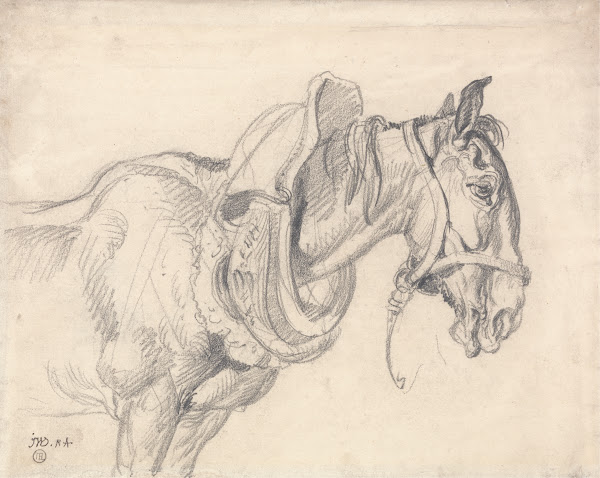 Head and Shoulders of a Cart Horse
