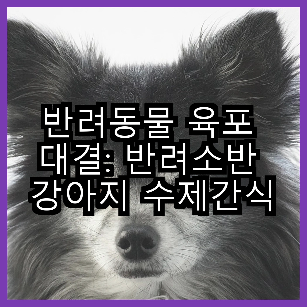 반려동물 육포 대결: 반려소반 강아지 수제간식 육포와 굿데이 건강한 육포, 어떤 차이가 있을까? 썸네일