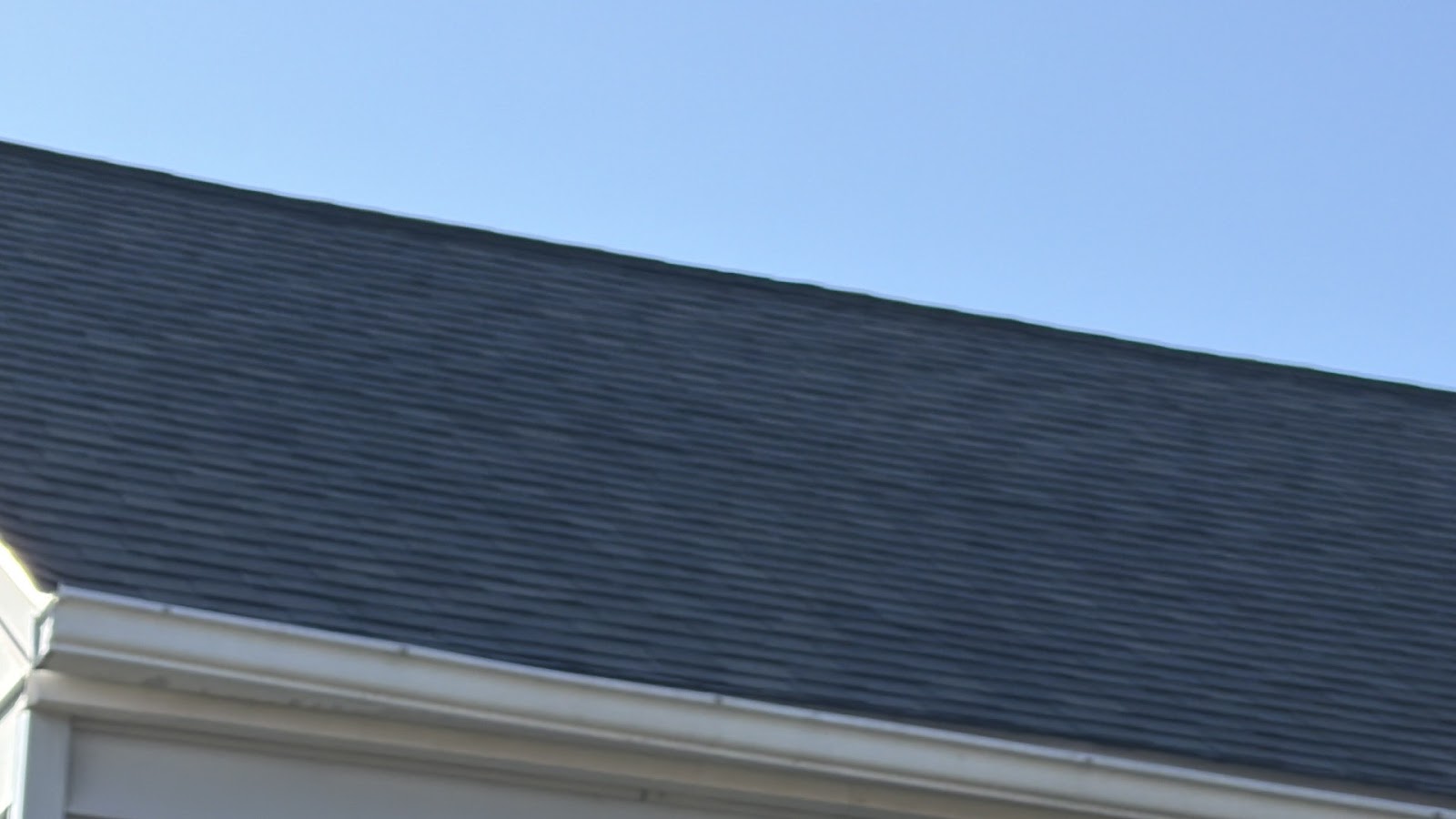 Copy of IMG_2026-03-12_16-53-22_754.jpg